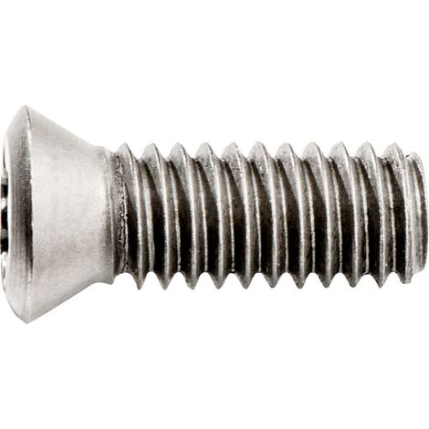 Metabo 10 Befestigungsschrauben für Wendeplatten (1/4)