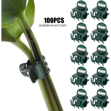100 pinzas para plantas，pinzas para orquídeas，pinzas de soporte para plantas y orquídeas，pinzas para flores，enredaderas y plantas trepadoras (1/5)
