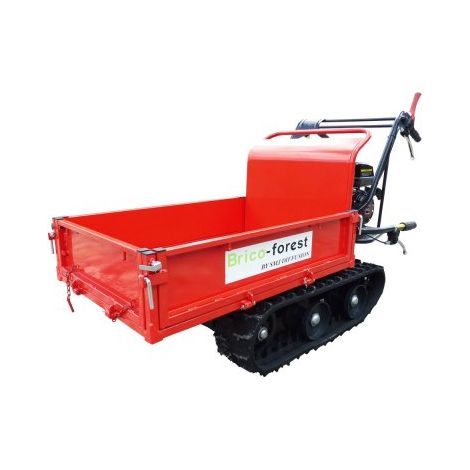 Mini dumper 350 C (1/5)