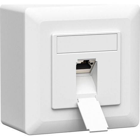 1 prise réseau universelle CAT8 1 port, RJ45 blindée en saillie ou encastrée, EIA/TIA-568-A/B 8P8C, Ethernet 40 Gbit/s, compatible POE+ compatible CAT8, CAT7, CAT6a, CAT6, blanc (1/5)