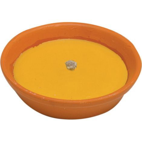 1PZ CITRONELLA IN COCCIO ANTIVENTO D 18 CM