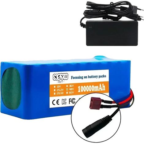 Batterie lithium-ion, capacité 100Ah, protection intégrée, Bleu (1/2)