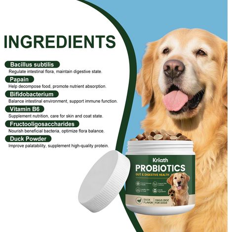 Comprimés à croquer probiotiques pour chiens - Nutrition équilibrée pour votre animal, complément pour les soins quotidiens intestinaux et corporels - 150 g (1/5)