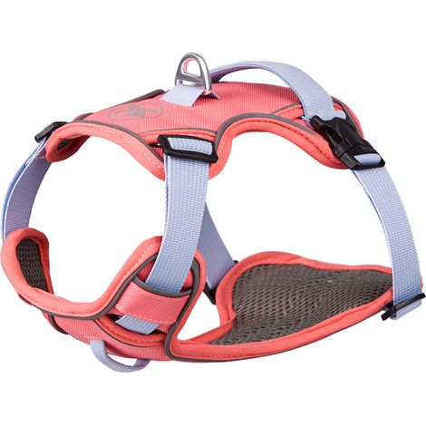 Harnais Pour Chien - Réglable - Ergonomique - À Double Attache Dos Et Poitrail - Térylène - 1 Pièce (1/5)