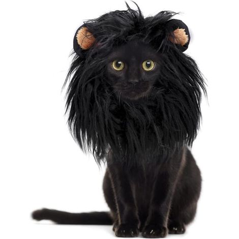 Perruque pour Chien et Chat, Déguisement Halloween Noël Fête Costume (1/5)