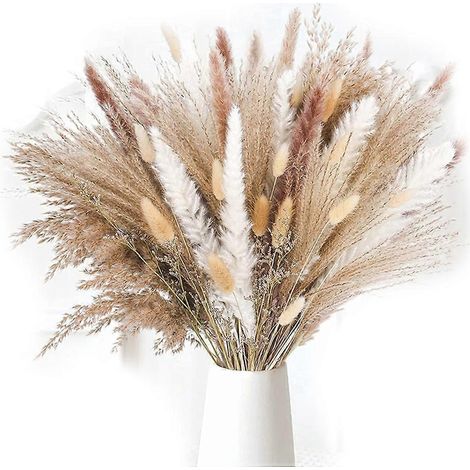 85 pièces de vases décoratifs en herbe de la pampa pour la décoration intérieure -- (1/5)