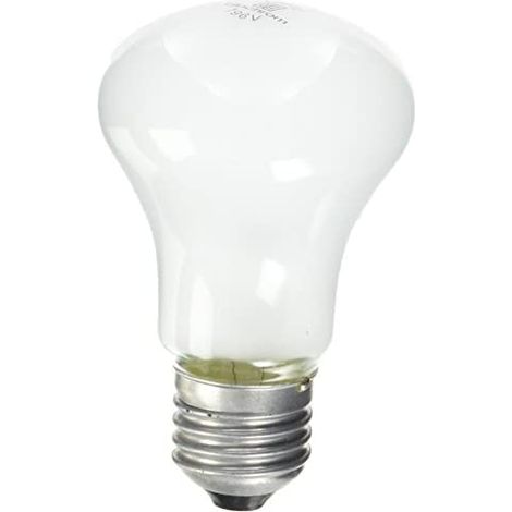 Elinchrom EL23002 - Bombillo para Lámpara de Modelado de Recambio - 100 W