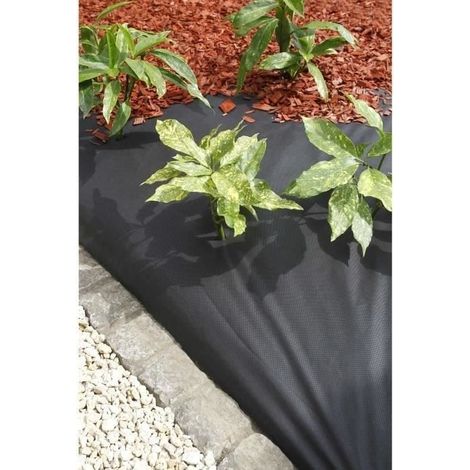 Telo pacciamante - nero 50 gr/m² - 1x10 m