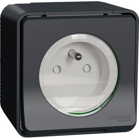 Mureva Styl - Presa elettrica 2P+T a vite - esterna - IP55 - IK08 - grigio - SCHNEIDER ELECTRIC - MUR36030 (1/2)