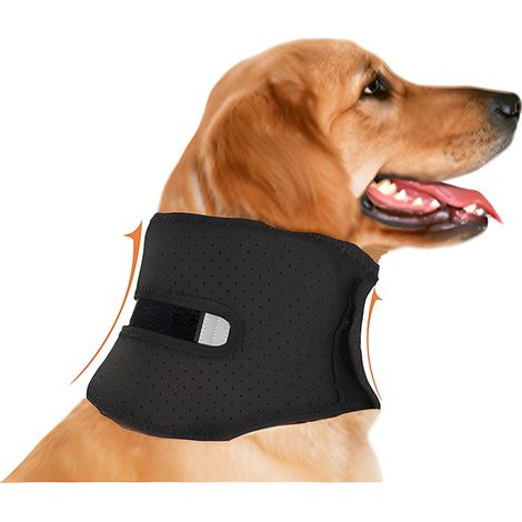 Collare cervicale per cani e gatti, tutore per collo antidolorifico, supporto per artrite e lesioni, protegge le ferite e favorisce la guarigione (S) (1/5)