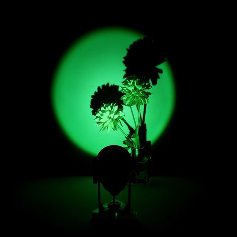 MINKUROW Lampada Sunset Projection Light Visual Led Romantic Modern Usb Night Light Atmosfera Soggiorno Arredamento Camera Da Letto Verde Chiaro
