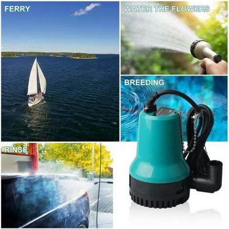 Pompe immergée 12 V 50 W, débit 4500 L/h, pour puits, piscine et étang, câble 2,5 m, turbine centrifuge (1/4)