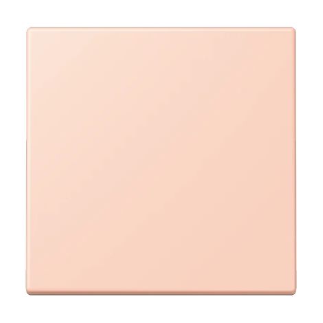 Jung Wippe für KNX Taster, F10, Duroplast lackiert, Serie LS, l’ocre rouge clair (32112) LC 101 234