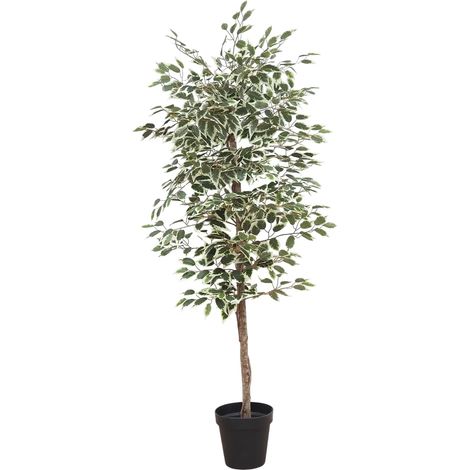Ficus artificiel panaché 180cm (1/4)