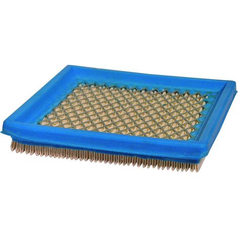 Filtre à air Briggs et Stratton 399877