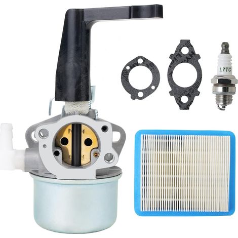 Convient pour 696065 697422 Carburateur pour BS 110402 110412 215369 5HP 5,5HP 6HP Moteur de motoculteur Carb Rototiller Troy Générateur Intek Moteur avec cartouche de filtre à air plat 491588S (1/5)