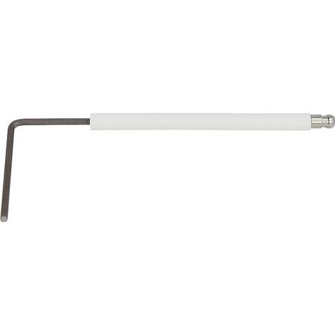 Electrode d'ionisation Elmatic TG 02.12, TG 02.20, nouveau, 189603