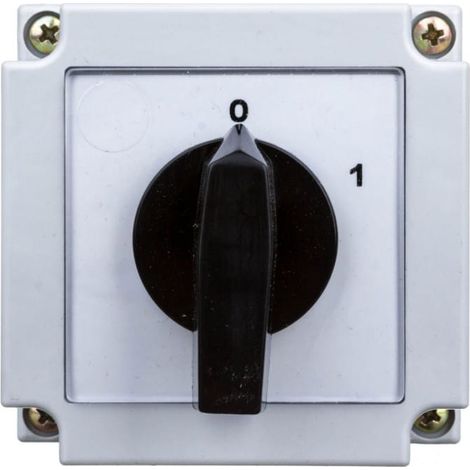 Nockenschalter 0-1 2P 10A im Gehäuse 4G10-91-PK R014 63-840395-011