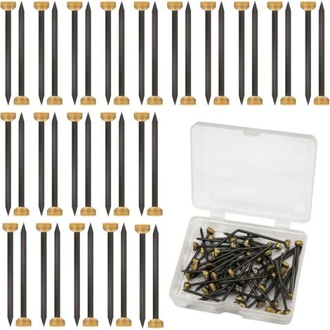 Lot de 50 clous de suspension de photos avec tête en laiton de 4 mm pour accrocher des photos avec boîte de rangement en plastique noir et jaune - Petits clous pour cadre, murs, clôtures en