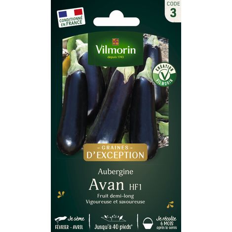 Vilmorin Aubergine Avan HF1 - Graines d'Exception (1/2)