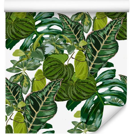 Papier peint à motifs de feuilles de plantes exotiques pour salon et chambre 50x1000 cm (1/5)