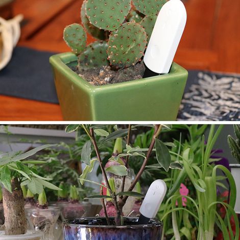 [Analyseur de sol] Hygromètre de sol instantané numérique avec sonde ABS – 2 modes et 3 types de détection – Jardin, plantes d'intérieur – Noir/blanc – 13.1 cm (1/5)