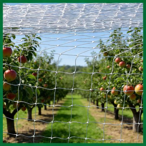 Pflanzennetz, 3 x 10 m, ideal für Gemüsegärten, in denen Gurken, Tomaten, Bohnen und Blumen wachsen. Maschenweite: 2,5 cm. (2 Stück) (1/5)
