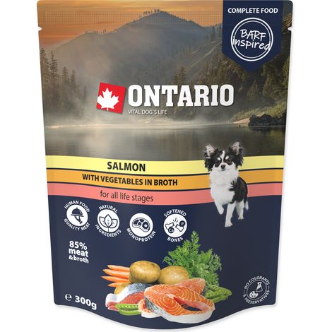 Saumon de l'Ontario aux légumes en bouillon 300 g