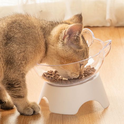 Gamelles pour chat, bol de nourriture et d'eau surélevé incliné à 15 °, bols d'alimentation pour animaux de compagnie pour petit chien (1/5)