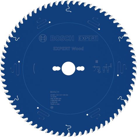 1x Lame de scie circulaire filaire EXPERT Wood (1/5)