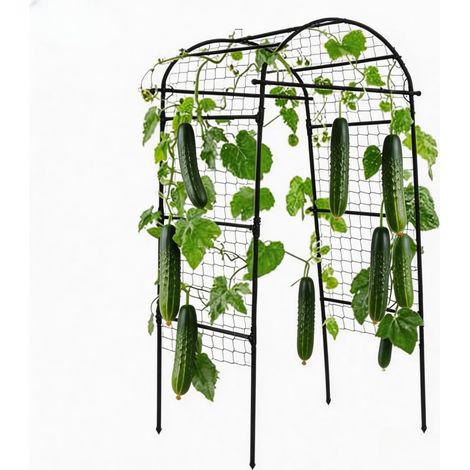 Arche de jardin treillis - Antirouille, pour concombres, melons, raisins, rosiers (1/5)