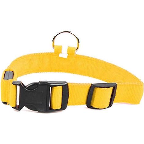Collier lumineux LED pour chien, rechargeable par USB et réglable. (1/5)