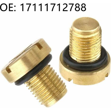Vis d'échappement de durite de radiateur compatible avec BMW MINI Série 3, référence 17111712788 (1/5)