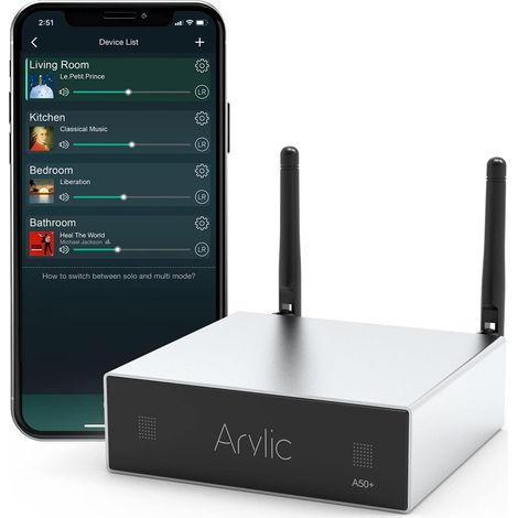 Amplificateur WiFi et Bluetooth avec sortie AirPlay et caisson de basses, système stéréo TPA3116, audio synchronisé HiFi multipièce/multi-zones (1/5)