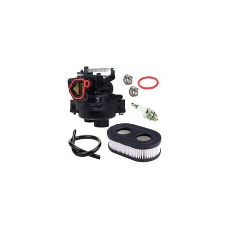 Pour Carburateur pour Moteurs Briggs et Stratton - Compatible 09P702-0145-F1, 09P702-0098-F1, 550Ex, 625Ex, 675Ex, 725Exi, 140CC, H734 - Pièce de Rechange Haute Performance (1/5)