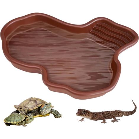 Gamelle reptile, grand bol d'eau et nourriture, piscine pour tortue, gecko et autres reptiles. (1/5)