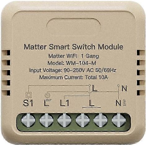 Module relais intelligent Tuya WiFi Matter avec minuterie, commande vocale via application et télécommande. Compatible avec Alexa et Google Home. WHBYV (1/4)