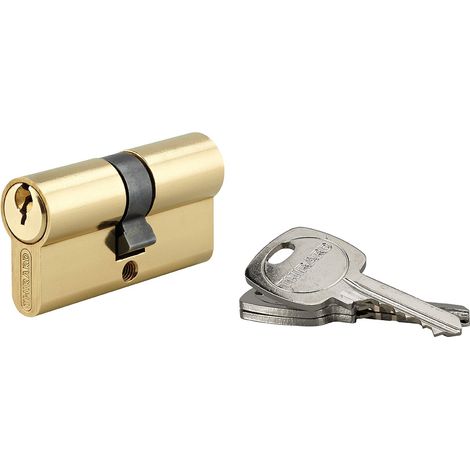 Cilindro europeo STD UNIKEY a doppia entrata 30 x 30 mm in ottone, chiave uguale, 3 chiavi – THIRARD
