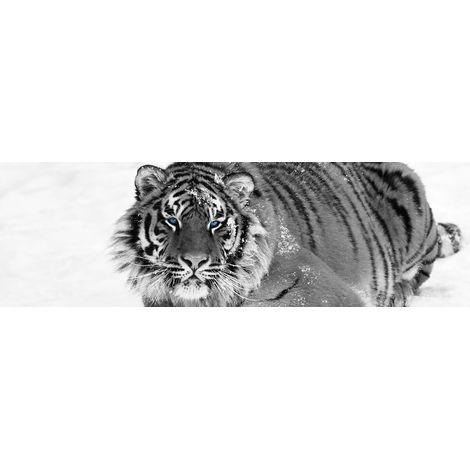 Tableau sur toile tigre au regard bleu 30x97 cm - Impression sur Toile Murale Décorative - Image imprimée en HD sur Toile - Toile sur Châssis en Bois FSC - Fabriqué en France (1/5)