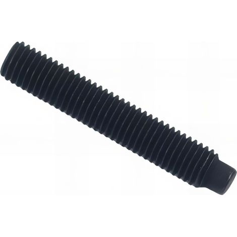 Vis sans tête 6 pans creux à bout téton STHC 4 x 6 mm Brut - Boite de 200 pcs - Fixtout HCTE0400601B
