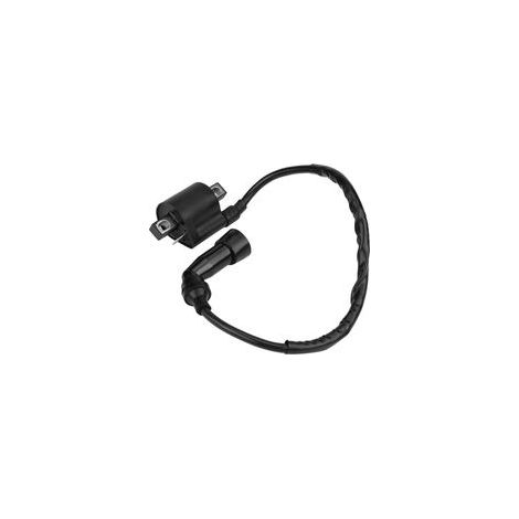 Bobine d'allumage, bobine de moto noire 2,9x1,7x1,3 pouces, démarrage facile, résistance aux collisions, colle plastique pour moto (1/5)