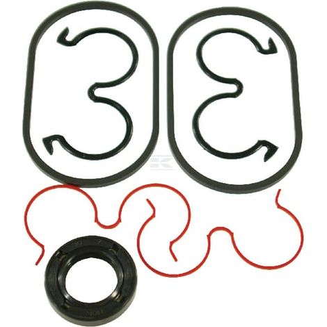 Set guarniz PLP10-86E1/29E8 CASAPPA PLP91086E1AFD