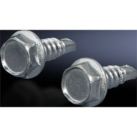 N/A vis autotaraudeuse Rittal 2487.000 Tôle d'acier 300 pc(s) (1/2)