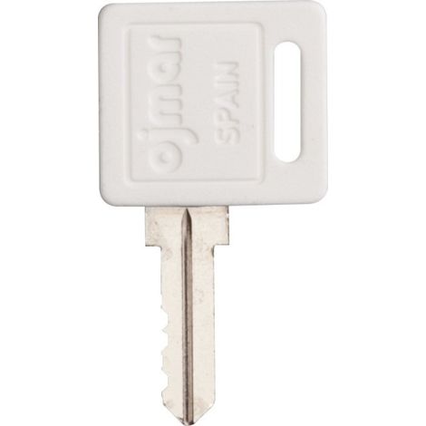 Clé passe général pour cylindre interchangeable - Grappin Annat (1/2)