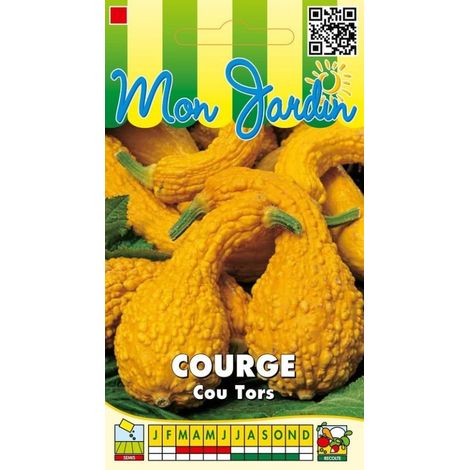 Courge Cou tors - 3g