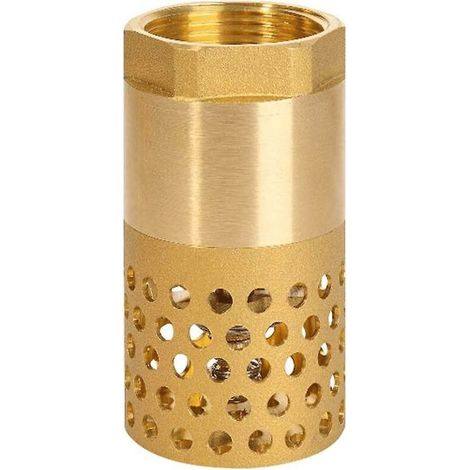 Válvula de retención de bomba de 1 pulgada - válvula de pie, válvula de retención de filtro (1 pulgada) (1/4)