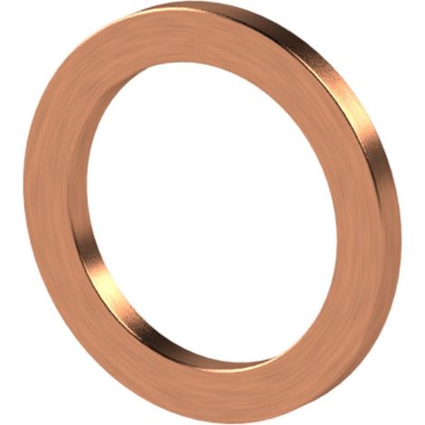 Riegler Dichtring aus Kupfer, für Gewinde G 3/4, VPE 100 Stk. 100 Stk (1/4)