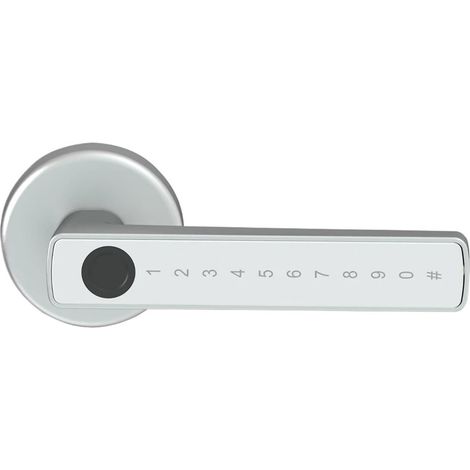 Serrure de Porte électronique numérique à Empreintes digitales, avec Mot de Passe, clé, Carte IC, Smartlife, déverrouillage d'application(M5 Silver) (1/5)