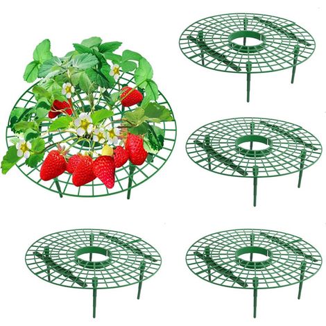 Lot de 5 supports pour fraisiers - Outil de jardinage - Améliore la qualité et la récolte des fraises - Facile à installer et à démonter - Vert (1/5)