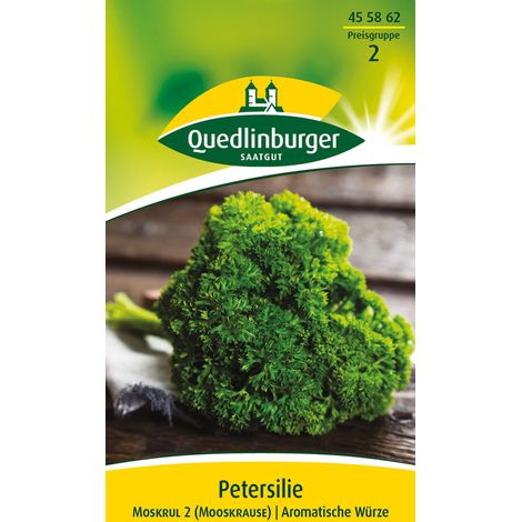 Quedlinburger Saatgut – Persil frisé « Moskrul 2 » – Graines d'herbes aromatiques, bisannuel, feuilles densément frisées, env. 50 cm (1/2)